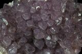 Purple Amethyst Cluster - Alacam Mine, Turkey #55362-1